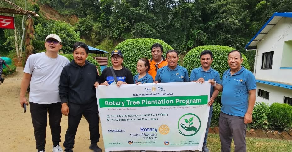 Tree Plantation